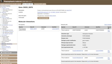 ensambl|ensembl fungi.